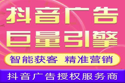 某电商平台的SEM运营实战与效果分析